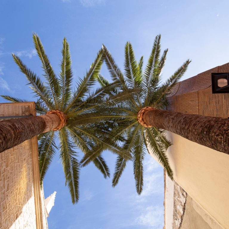 Skylinetv satellite specialist in Benissa performing dish alignment. Satellite Specialist in Benissa
